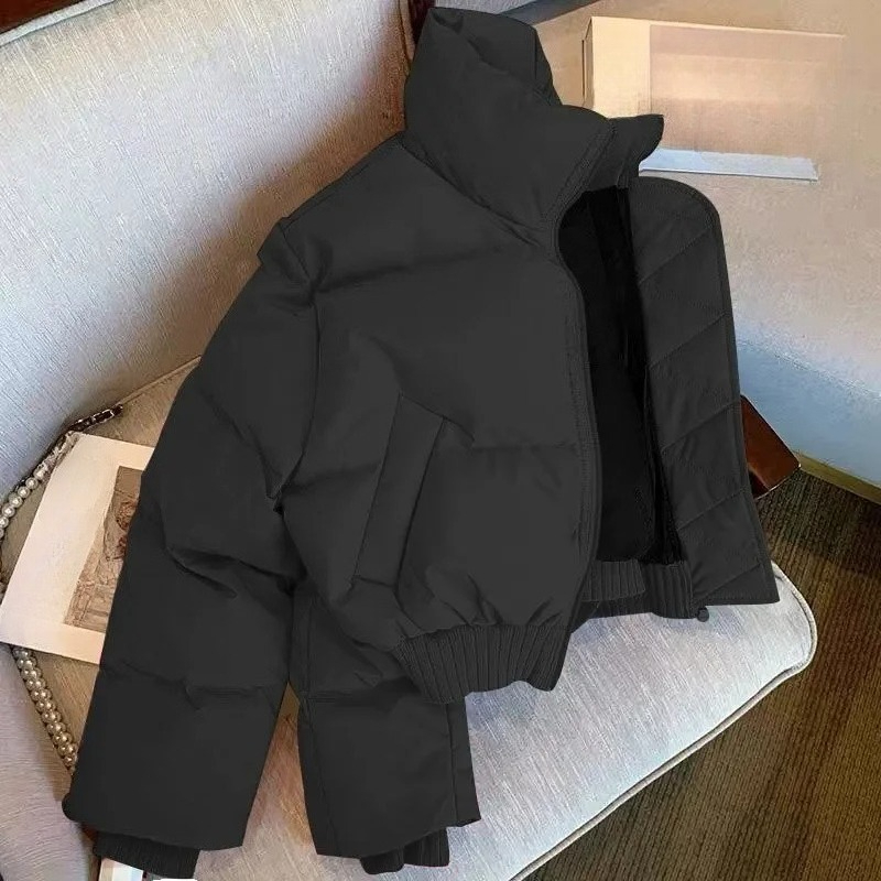 رجل سترة الشتاء الكلاسيكية فضف - مراجعة Street Fashion Jacket Men وسعره